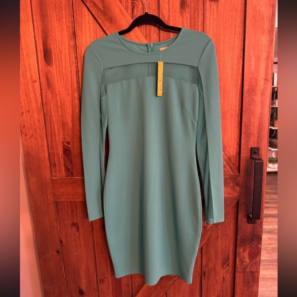 Gianni Bini Long Sleeve Molly Dress‎